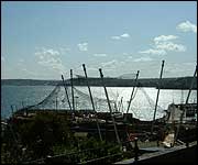 Living Coast development