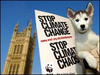 Štěně huskyho na londýnské demonstraci proti klimatickým změnám