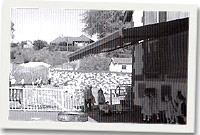 Ysgol Bronllwyn, y Gelli, Rhondda 