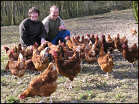 Owners of free range chickens at Cader Idris Poultry Farm in Wrotham