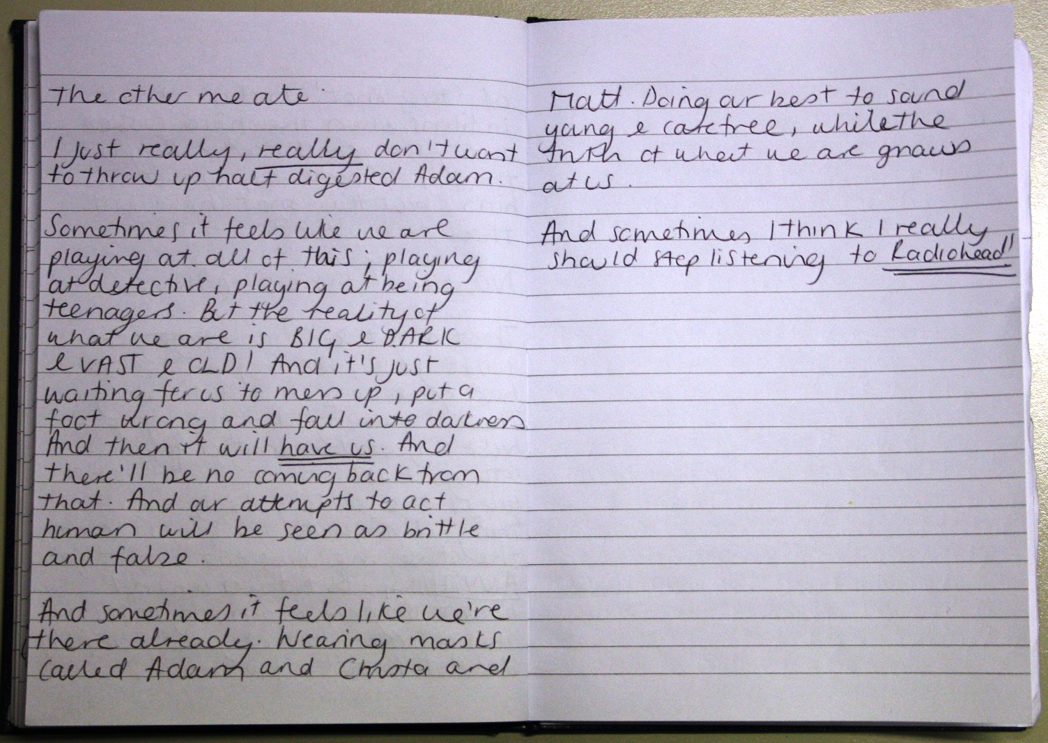 Bloodhound Diary Entry Page 3