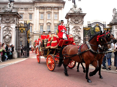 عکس از پریسا عرفانی 