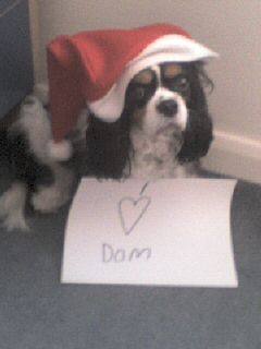Charlie the dog luv's Dom