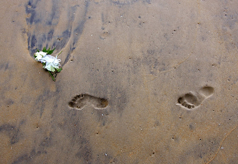 A rose thrown into the waters of the Andaman Sea to mark the first tsunami anniversary, near foot prints in Khao Lak, Thailand. REUTERS/Adrees Latif