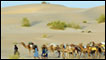 A camel caravan leaving Timbuktu in Mali