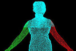 Image: This is the average figure found in the Size UK study. It represents the average waist, bust, hips and height of women in Britain today.