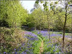 Bradfield Spouses c/o Alan Beales