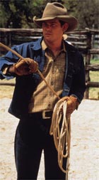 All The Pretty Horses