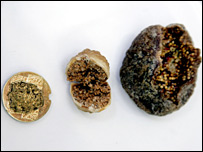 انجير (عکس از جاناتان ريف)