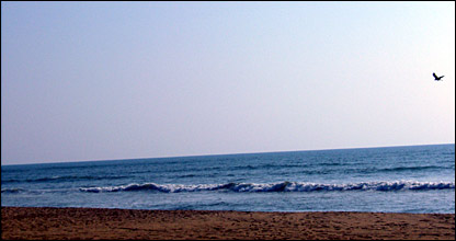A beach near Collombo, Sri Lanka 
