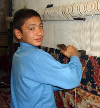 عبدالقوي د غالۍ اوبدلو پرمهال