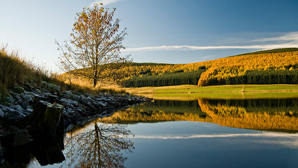 A frosty lochshore contrasts with bold sunshine on autumn foliage
