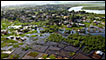 flooded fields near Monrovia, Liberia