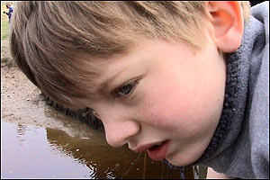 Video Nation - Crabbing