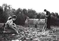 Image of a people working the fields
