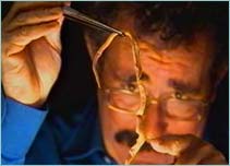 Robert Winston holding human roundworm
