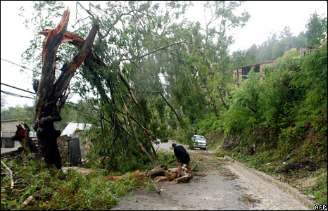 Một người Haiti dọn dẹp sau bão