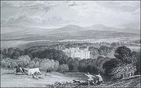 Chillingham park and castle