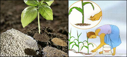 کيمياوي سره