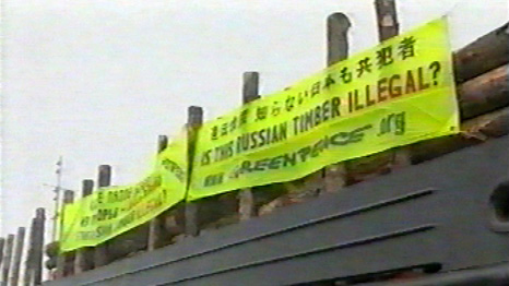 illegal logging from Siberia