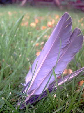 Grounded from the skies