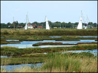 Lakenheath Fen by Louise Baker