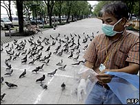 Výskyt ptačí chřipky v Thajsku