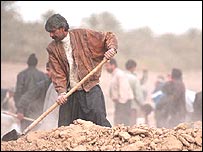 جستجو در ميان آوار