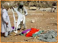 کوہلو ، بلوچستان