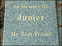 Memorial plaque for Claire's dog