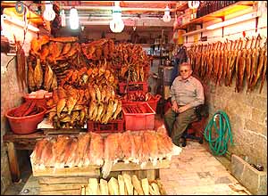 امير مختاری زاده