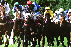 Horse racing