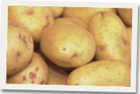 Tatws