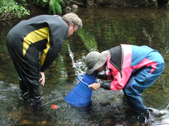 Ian Killeen and Evelyn Moorkens
