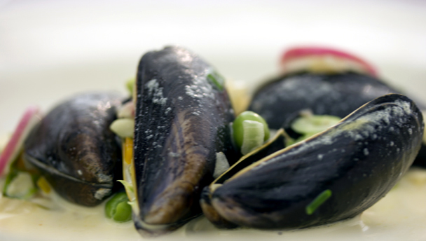 Fresh mussels