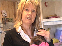 Marianne with hedgehogs