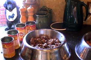 Russ shows us what dinnertime is like for his dogs - Angus and Oscar.