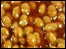 baked beans