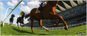Horses race at Ascot