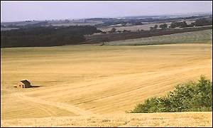 Letošní úroveň bude zřejmě nižší než loni