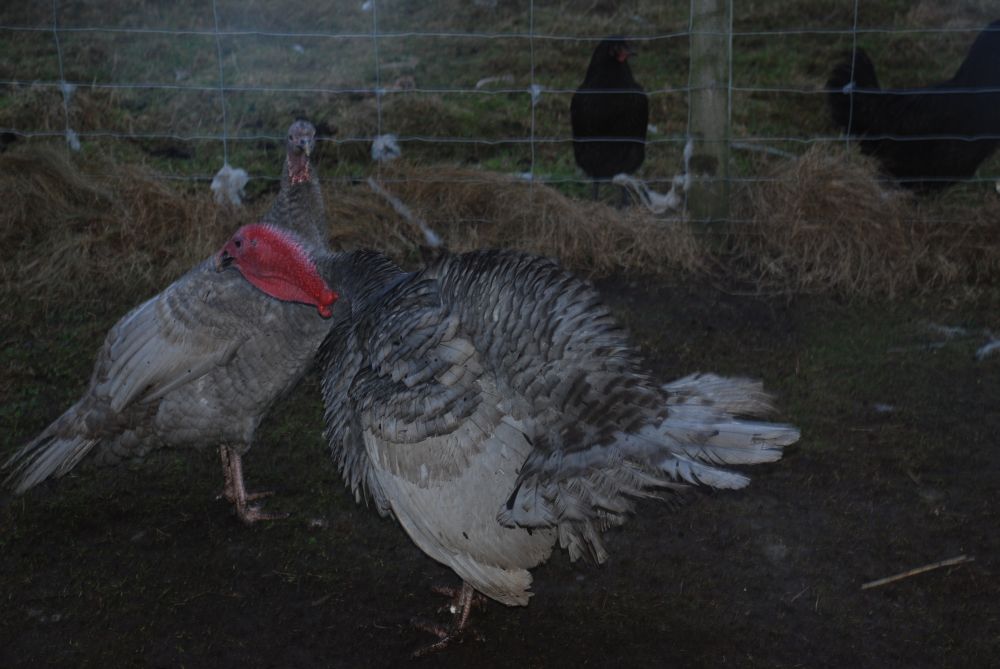 Are you dancing cos im asking 