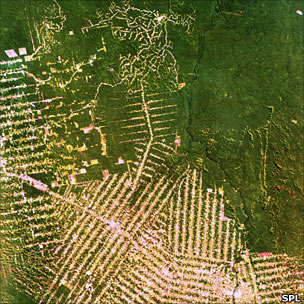 Aerial view of logging roads into Amazon forest