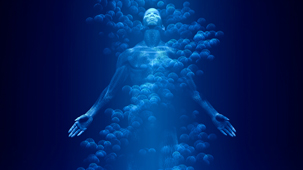 The human genome project
