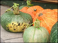 Shades of Black Vegetables