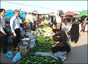 امير مختاری زاده