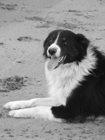 i give up, i will just have another rest.