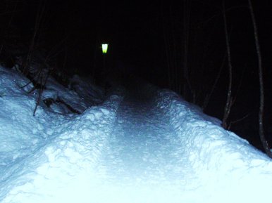 Pathway into the unknown