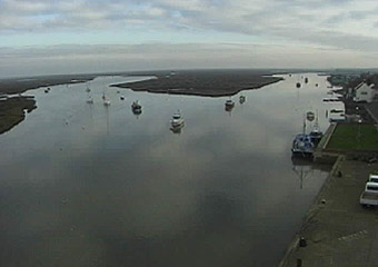 please wait for image to download