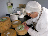 The special cheese being made