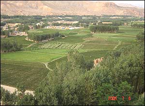 عکس از کبيرالدين احمدی